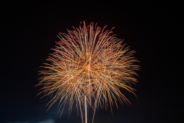 Fuochi d'artificio sullo sfondo del cielo scuro