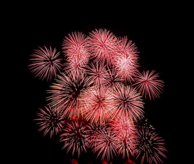 Fuochi d&#39;artificio