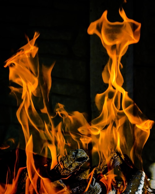 Fuoco ardente Il falò brucia nella foresta Trama di fuoco ardente Falò per cucinare