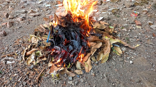 Fuoco che brucia foglie secche Fuoco e fumo da foglie in fiamme