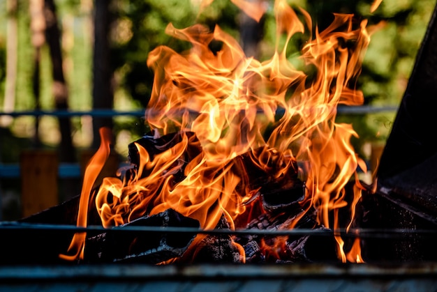 fuoco che brucia in un braciere in natura in estate