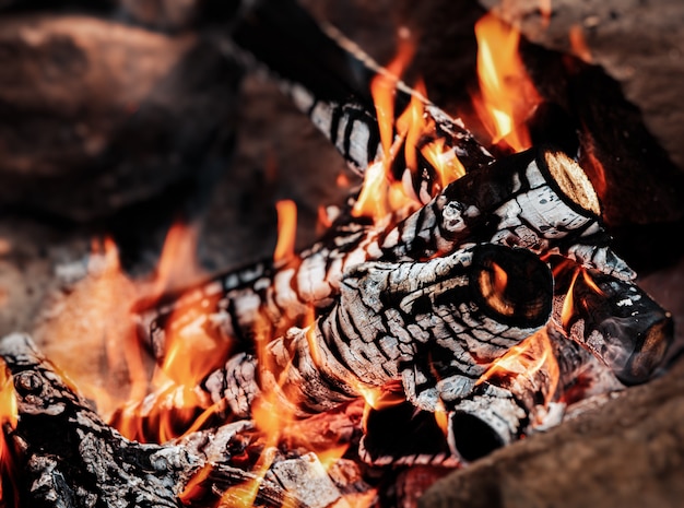 Fuoco di legno con la cenere, primo piano