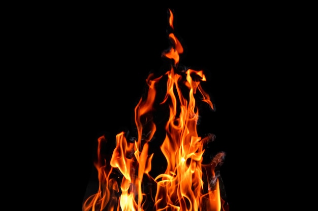 Fuoco, fiamme su un isolato sfondo nero. Concetto fuoco grill calore weekend barbecue.