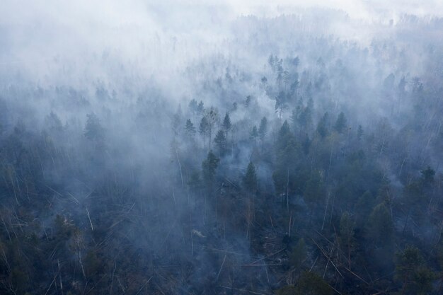 Fuoco nella foresta, fumo pesante, torba che brucia. Vista drone.