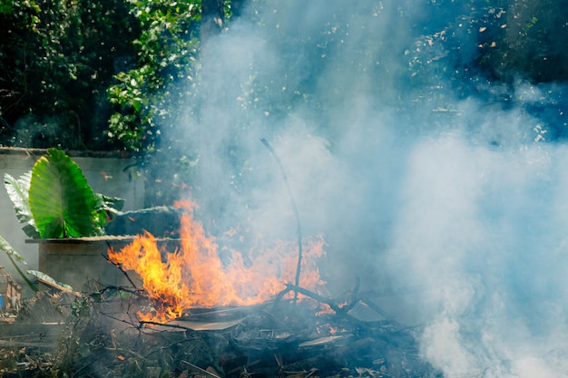 Fuoco nella foresta pluviale, molto fumo e cenere