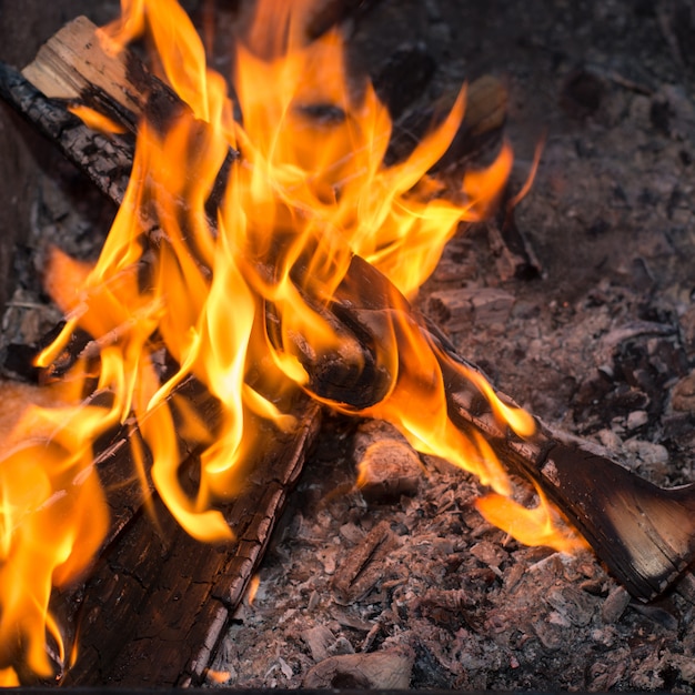 Fuoco nella natura Falò nella foresta per la griglia.