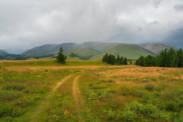 Fuori strada attraverso l'altopiano piovoso dell'estate. Terribili nubi temporalesche sono state sospese sulla valle autunnale. Il cielo prima di un temporale con nubi temporalesche.