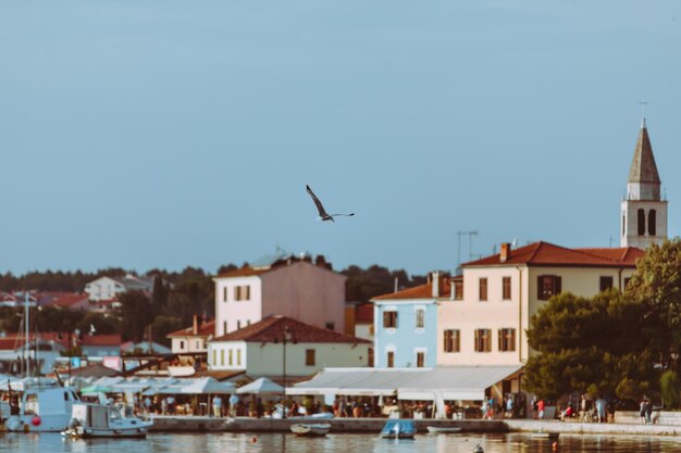 Gabbiano che vola sopra il porto della piccola città