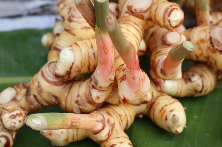 Photo galangal at the market