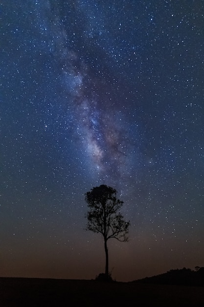 Galassia della Via Lattea con stelle e polvere spaziale nell&#39;universo.