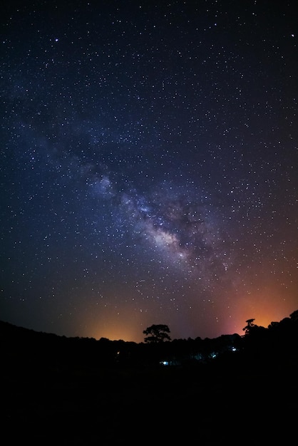 Galassia della Via Lattea e Silhouette dell'albero con nuvola Fotografia a lunga esposizione con grainxAxA