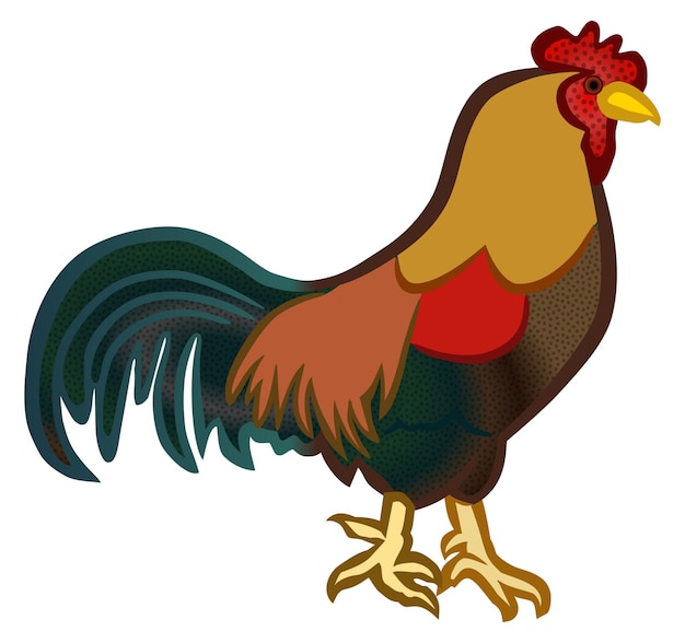 gallo a linea colorata