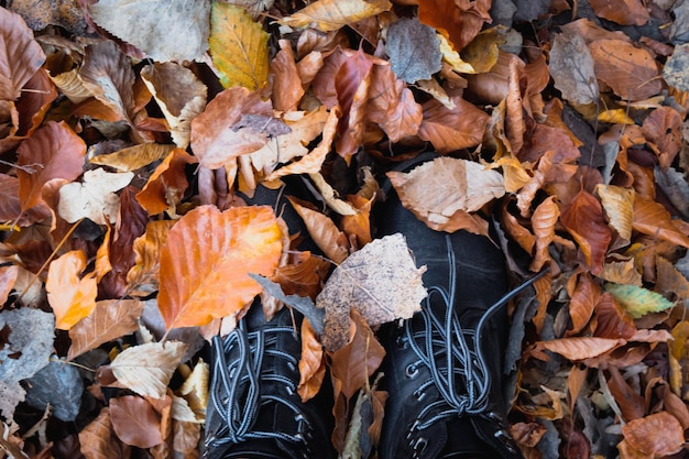 Gambe con gli stivali sulle foglie d'autunno Scarpe piedi che camminano nella natura Autunno sfondo