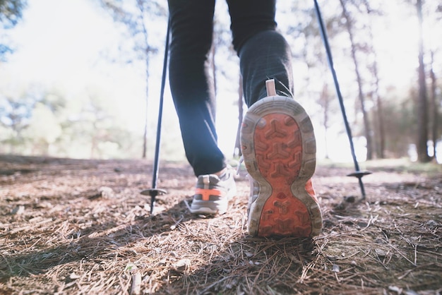 gambe di coltura che camminano nella foresta