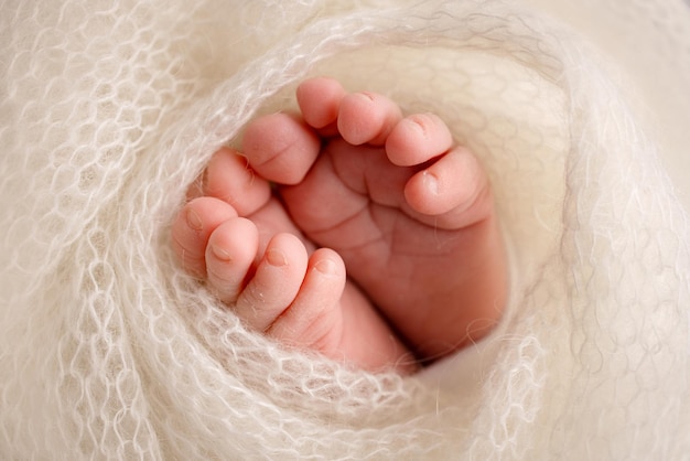 Gambe, dita dei piedi, piedi e talloni di un neonato. Avvolto in una coperta a maglia bianca, avvolto. Macrofotografia, primo piano. Foto di alta qualità