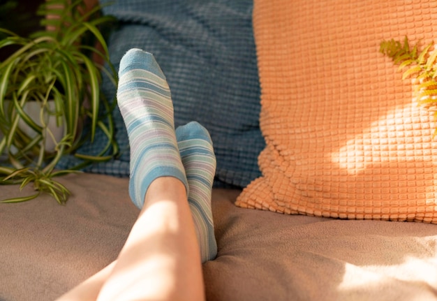 Gambe femminili in calze a righe blu sul divano tra cuscini sullo sfondo di piante in vaso domestiche