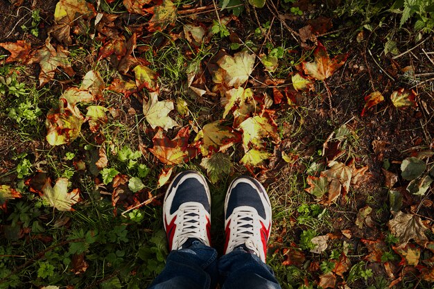 Gambe in autunno con copyspace. Astratto.