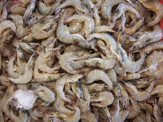 Gamberetti freschi da vendere nei mercati del pesce