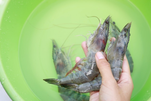 Gamberetti per la pulizia delle mani per la cottura in casa