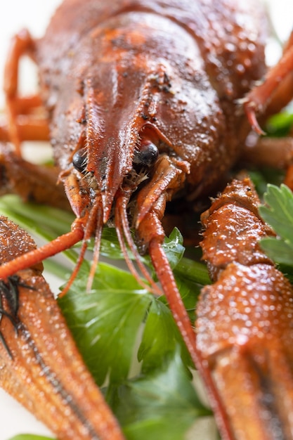 Gamberi bolliti da vicino e foglie di prezzemolo Proteine dell'antipasto