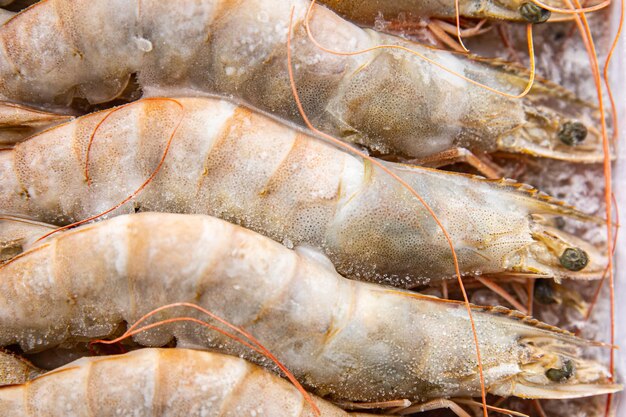 gamberi crudi congelati nel ghiaccio grossi gamberi frutti di mare pasto di gamberi cibo spuntino dieta pescatariana sul tavolo