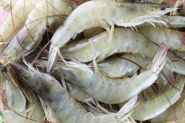 gamberi crudi freschi come contorno in cucina.