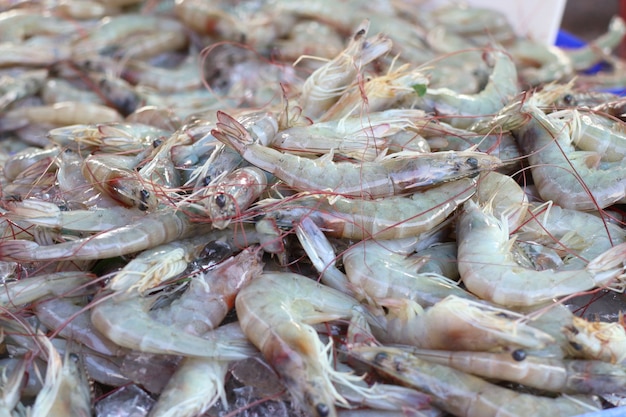 gamberi freschi al cibo di strada