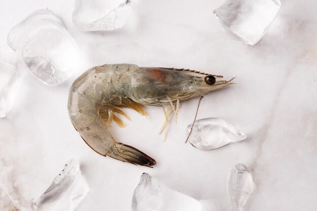 Gambero fresco crudo con cubetti di ghiaccio su sfondo di marmo bianco