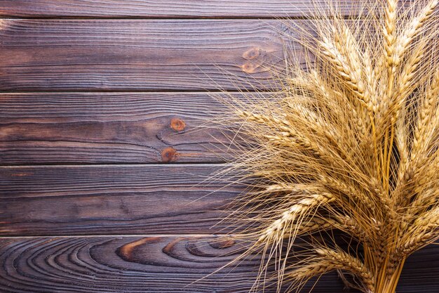 Gambi di grano su fondo di legno Concetto di raccolto