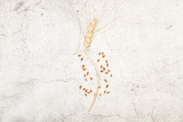 Gambo di grano e grani su uno sfondo di marmo in una vista dall'alto