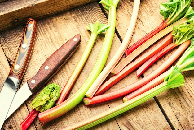 Gambo di rabarbaro fresco sul vecchio tavolo in legno. Concetto di cibo