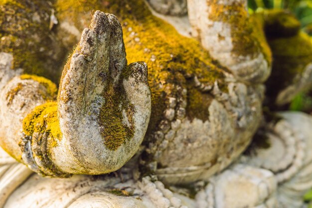 Ganesha ricoperta di muschio nel parco.