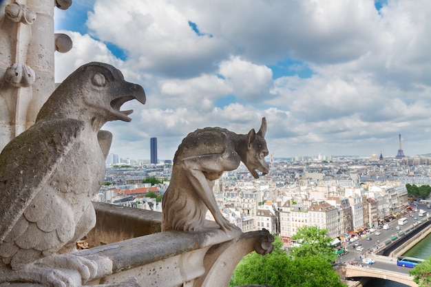 Gargoyle di Parigi sulla chiesa della cattedrale di Notre Dame e sul paesaggio urbano di Parigi con la Torre Eiffel, France