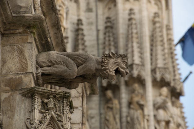 Gargoyle europei