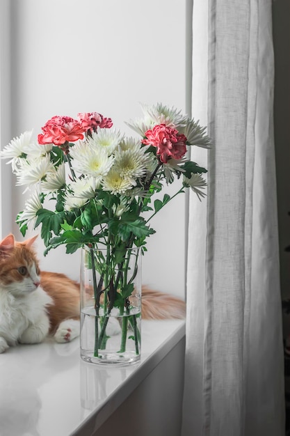 Garofani di crisantemi un bouquet in un vaso di vetro e un gatto domestico rosso sul davanzale della finestra in un'accogliente stanza luminosa