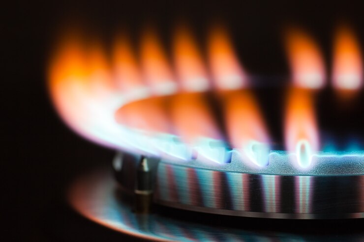 Gas che brucia nel bruciatore del forno a gas