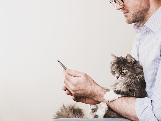 Gattino carino e soffice e un uomo con un telefono. Concetto di cura degli animali domestici