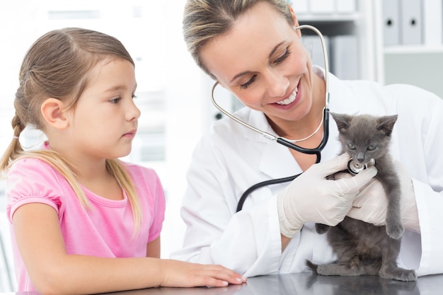 Gattino d&#39;esame veterinario femminile