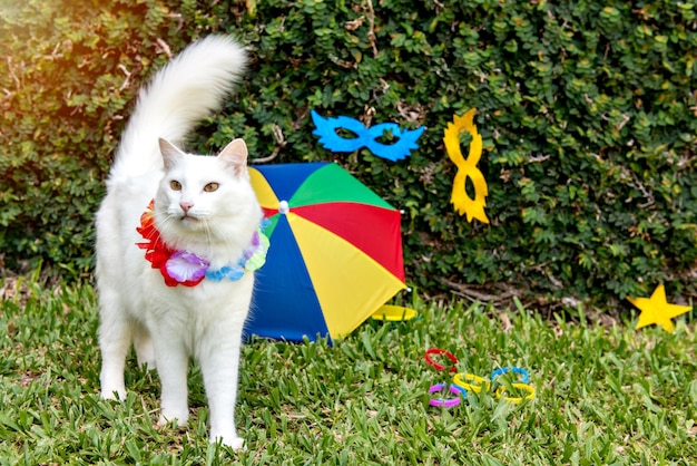 Gatto bianco nel carnevale brasiliano dell'animale domestico di carnevale