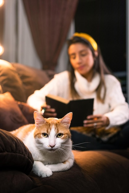 Gatto bianco sdraiato sul divano mentre la donna si rilassa con un buon libro