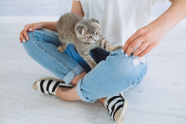 Gatto che gioca con la mano