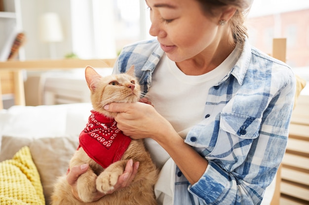 Gatto che indossa una bandana