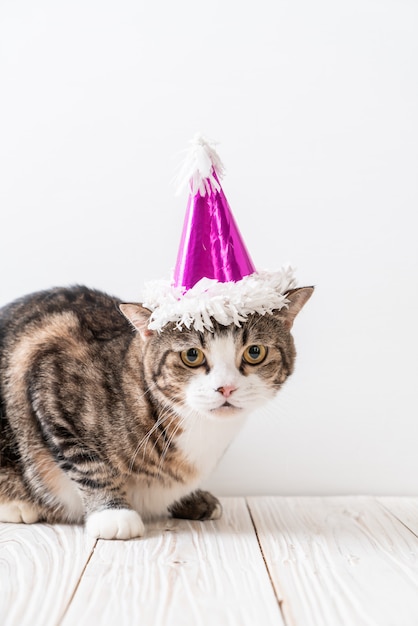 gatto con cappello da festa