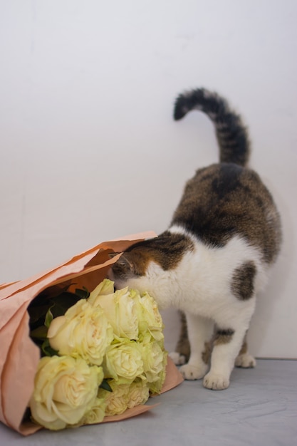 Gatto con un bouquet di rose chiare.