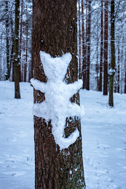 gatto dalla neve sul tronco d'albero