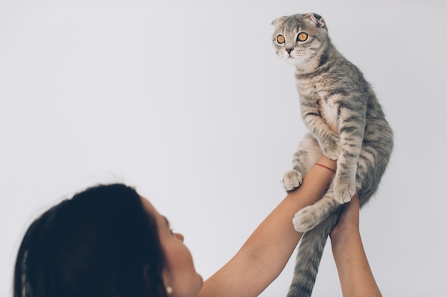 Gatto della holding della donna ambientale