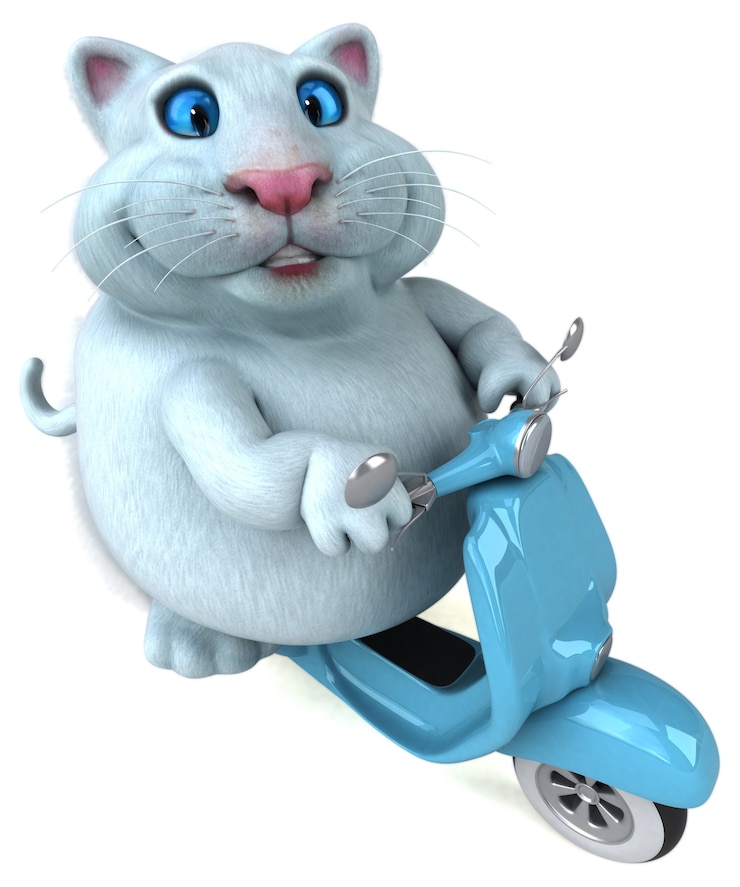Foto gatto divertente - illustrazione 3d