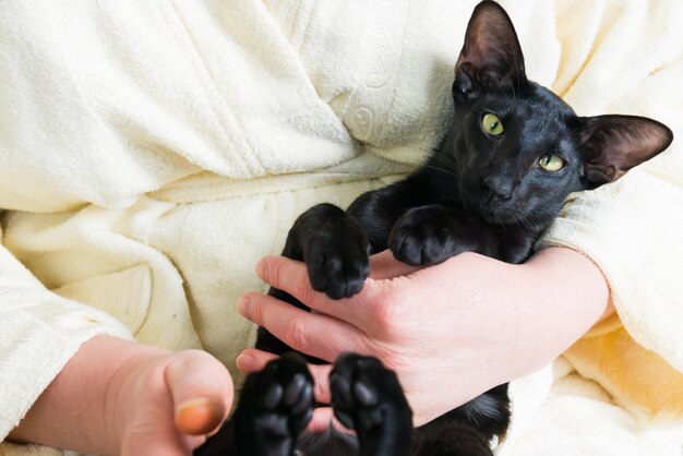 Gatto e donna orientali neri