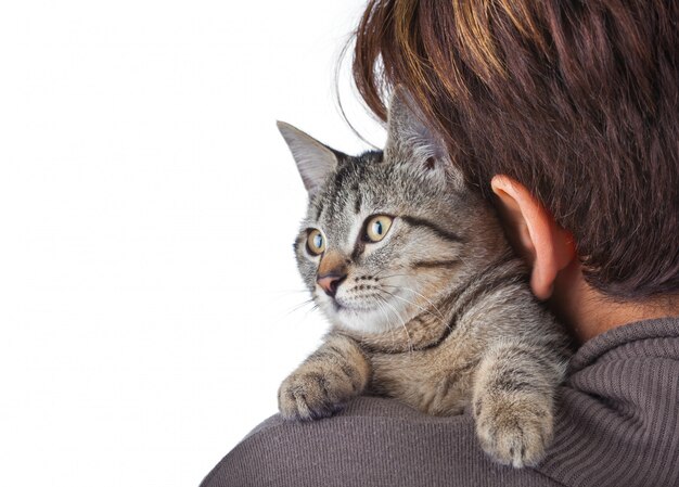 Gatto e donna su uno sfondo bianco