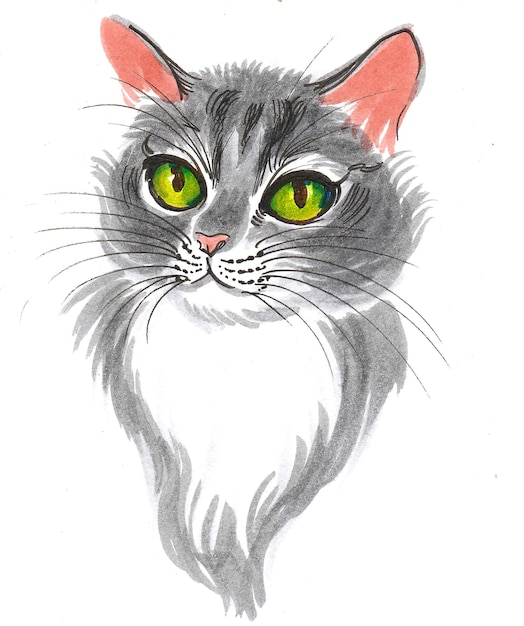 Gatto grigio con occhi verdi. Disegno a china e acquerello